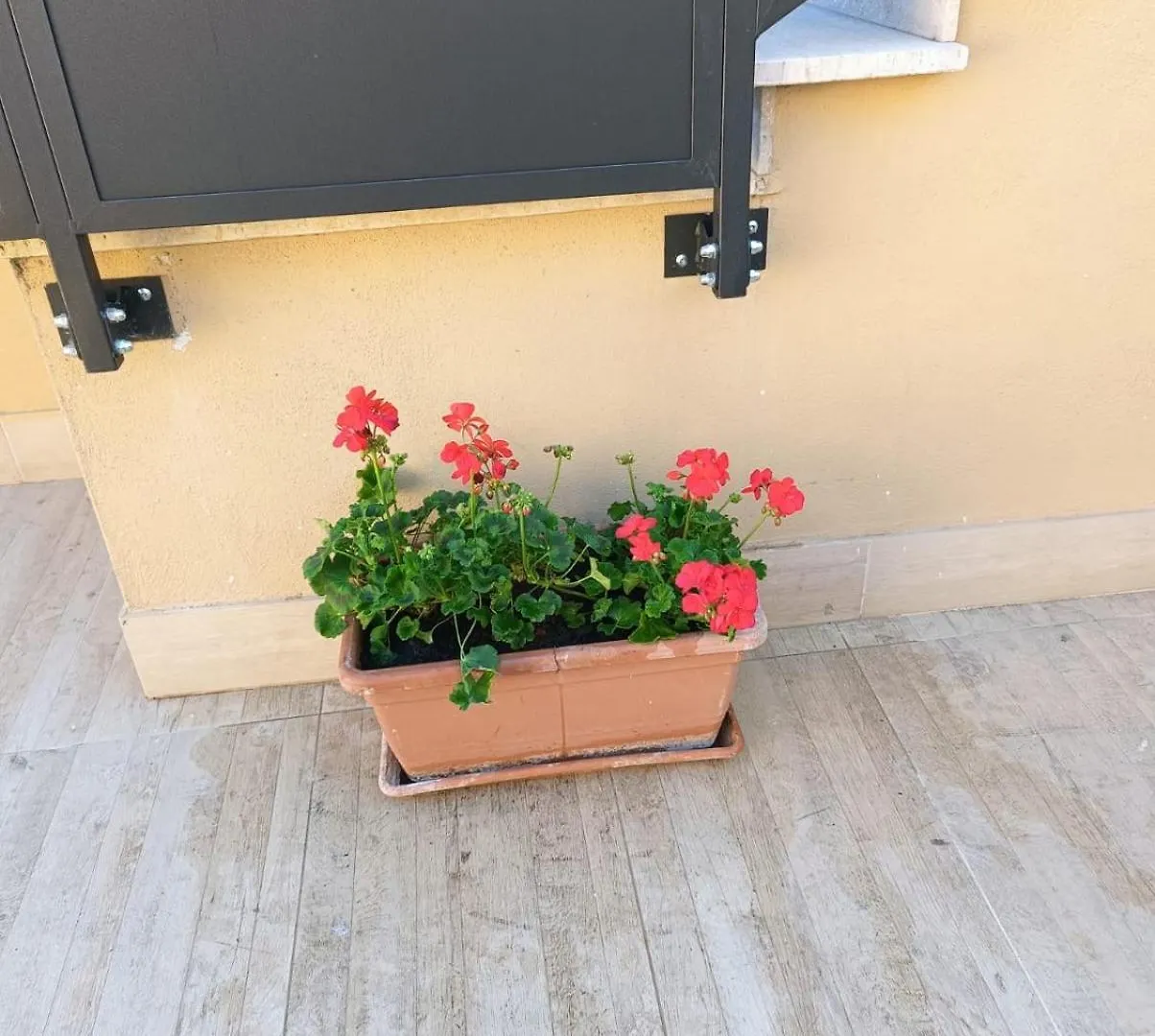 Garden House Roma Villa Holiday home Rome
